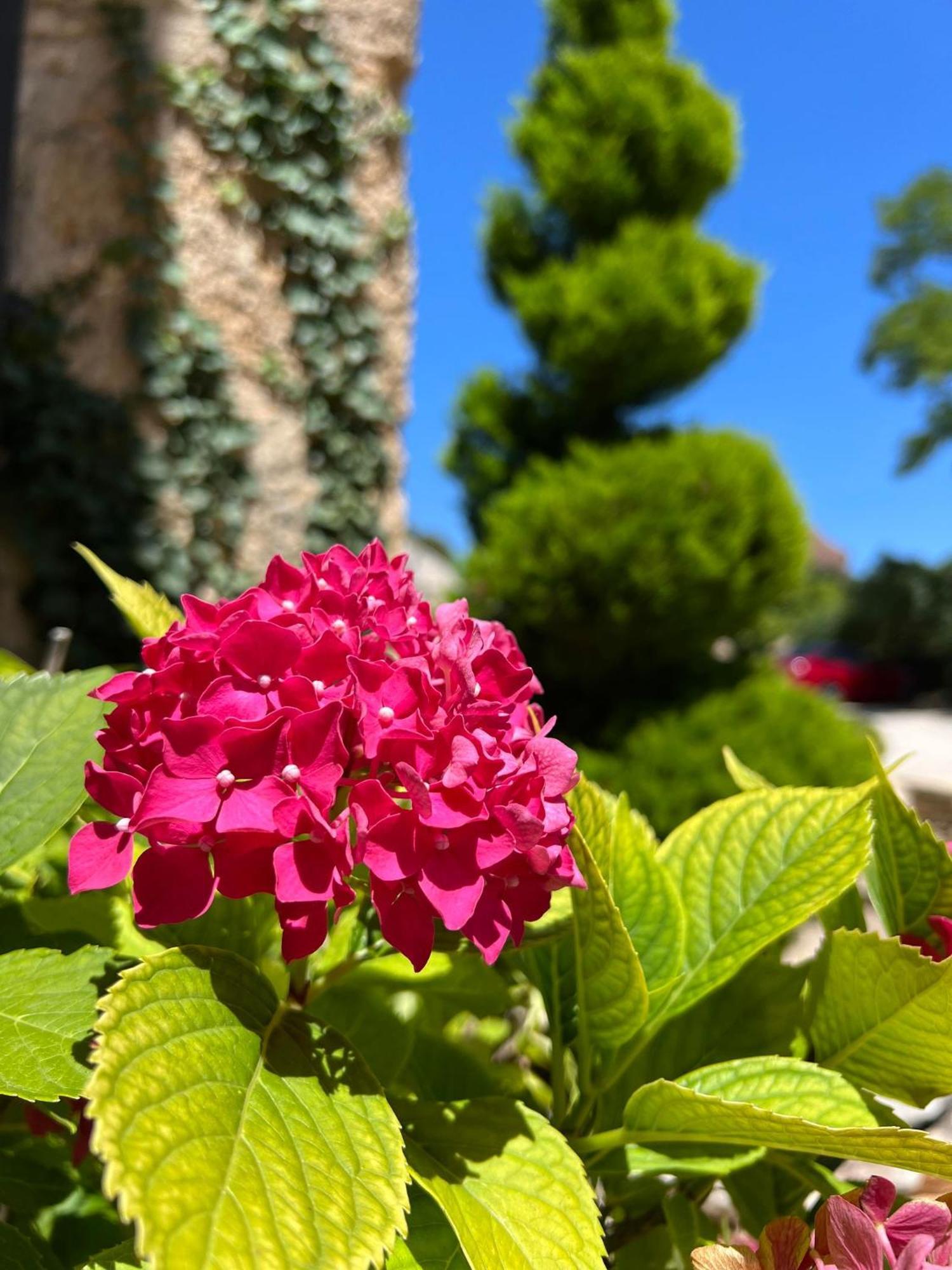 Hotel Les Vieilles Tours Rocamadour Exteriér fotografie